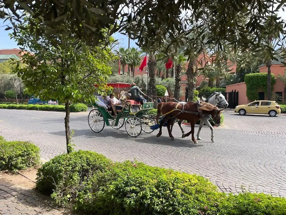 Apartment Chic & Lovely Flat In City Center Marrakesh